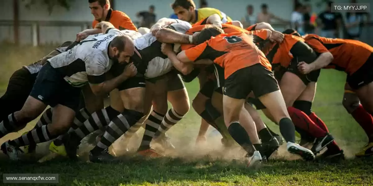 🏆全球赛事,一键直达!⚽️